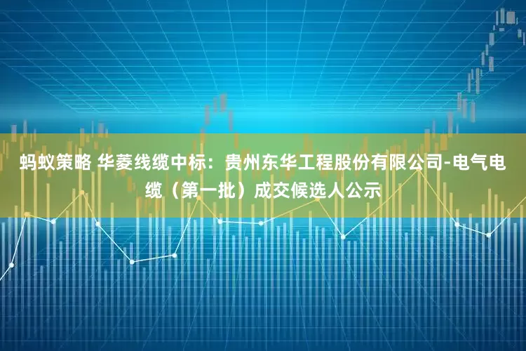 蚂蚁策略 华菱线缆中标：贵州东华工程股份有限公司-电气电缆（第一批）成交候选人公示