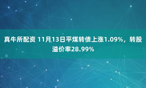 真牛所配资 11月13日平煤转债上涨1.09%，转股溢价率28.99%