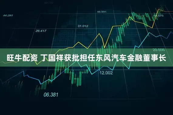 旺牛配资 丁国祥获批担任东风汽车金融董事长